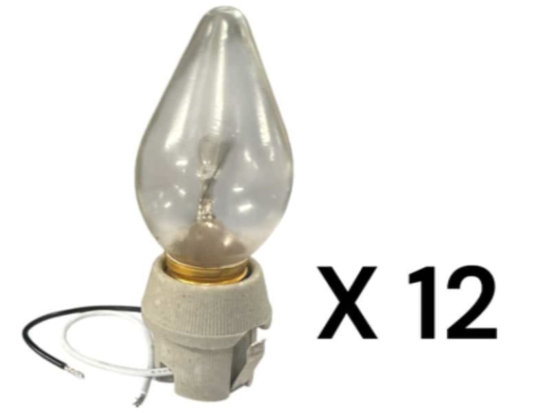 Photoroom 20251211 145631