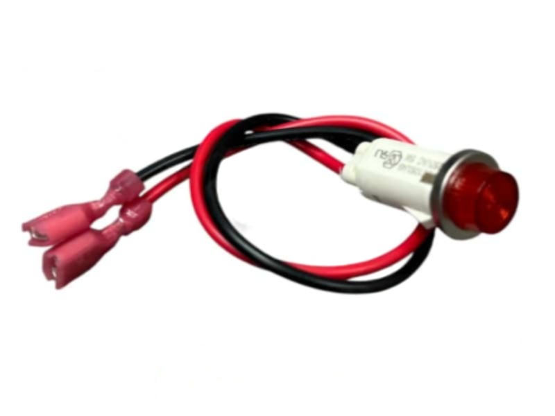 Photoroom 20250603 161412