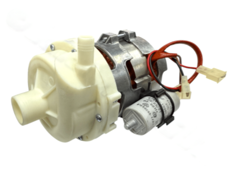 Photoroom 20250213 131602