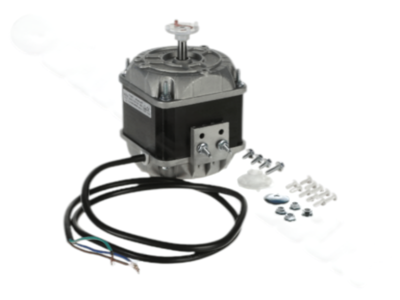 Photoroom 20250219 164839