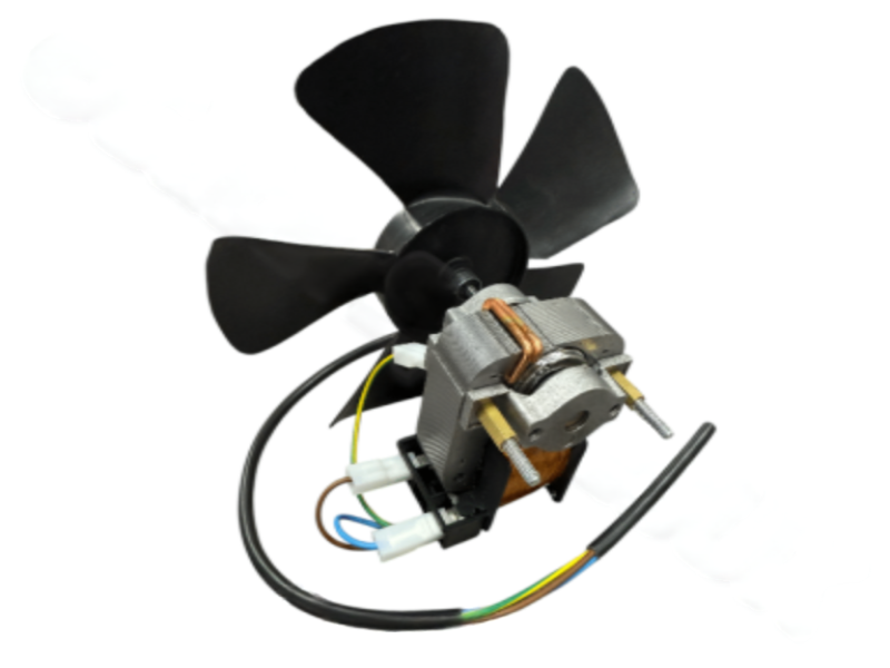 Photoroom 20250220 153639 2