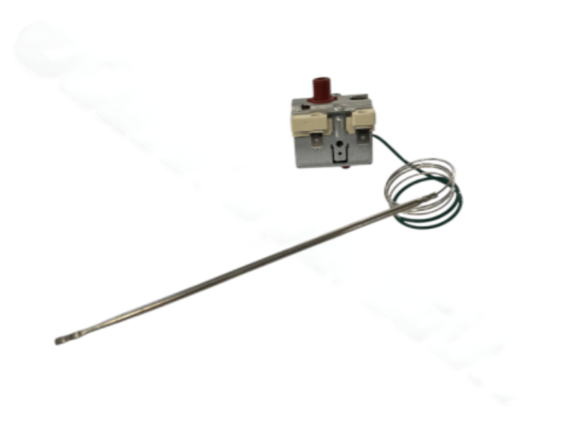 Photoroom 20250228 103030