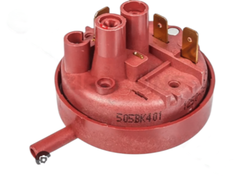 Photoroom 20250228 114828