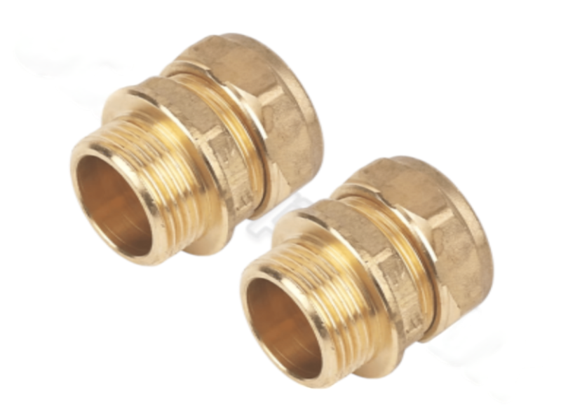 Photoroom 20250228 124034