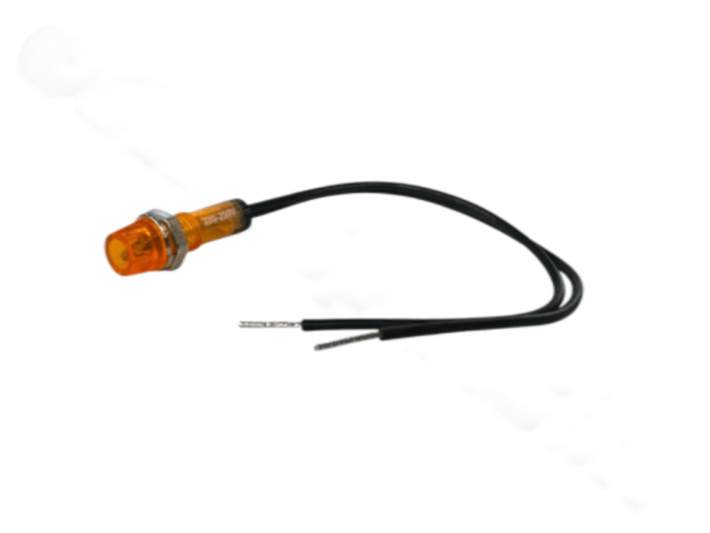 Photoroom 20250310 134512