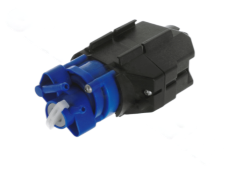 Photoroom 20250605 084010