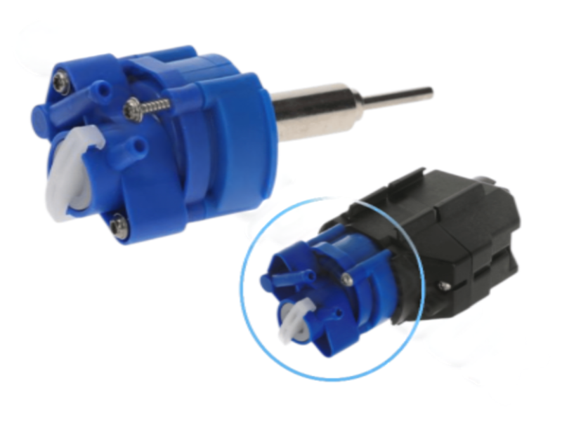 Photoroom 20250605 085713