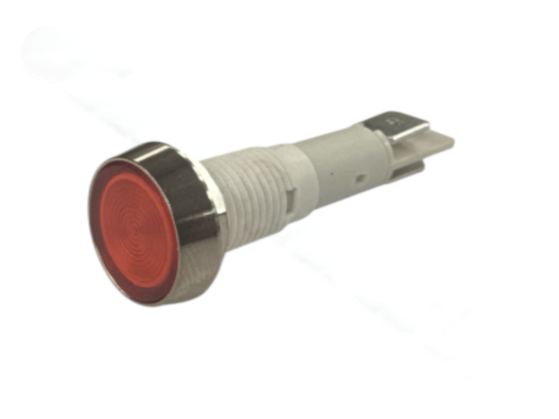 Photoroom 20250707 105641