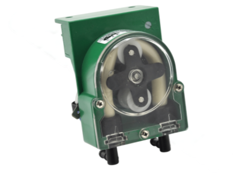 Photoroom 20250722 091557