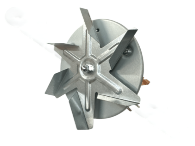 Photoroom 20251001 092540