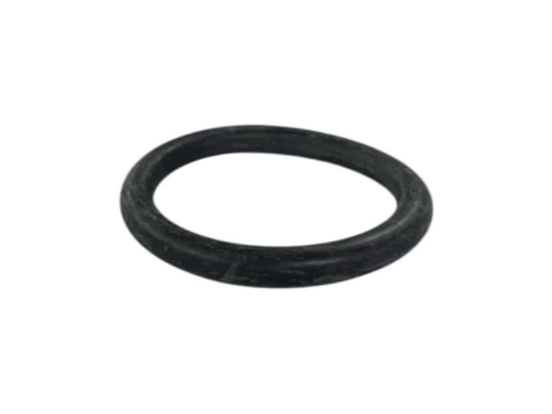 Photoroom 20251111 155944