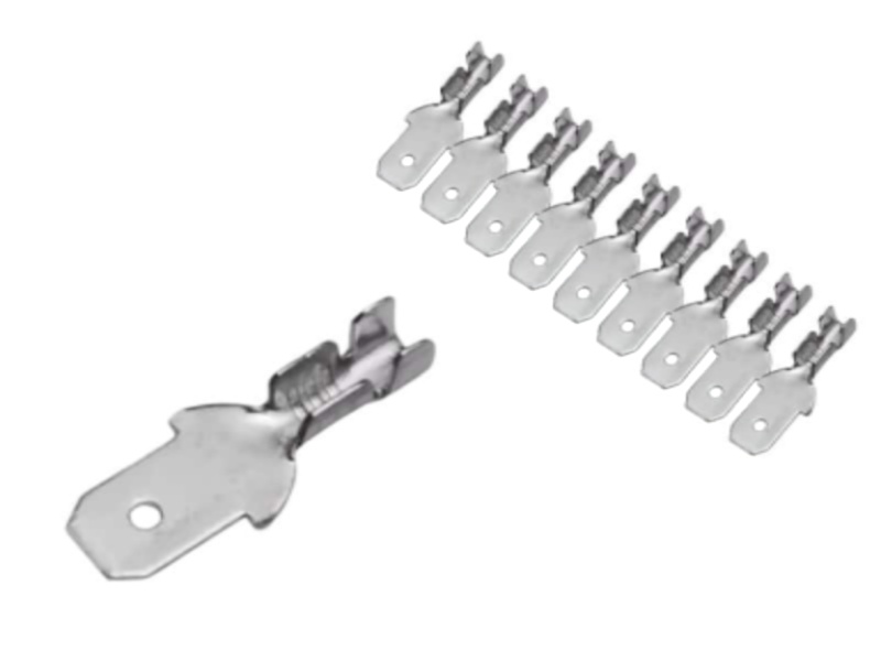 Photoroom 20251203 132010