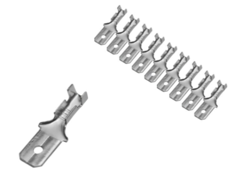 Photoroom 20251203 132200