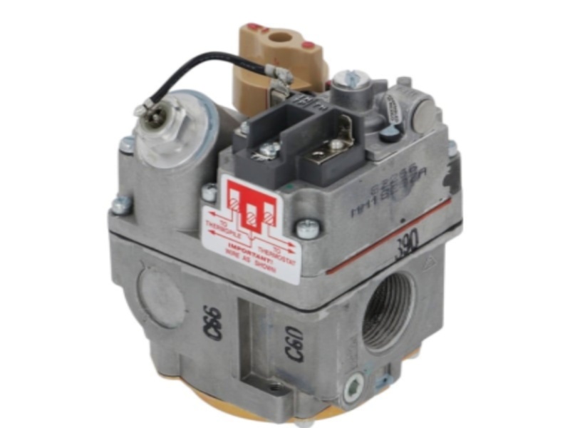 Photoroom 20251214 202846