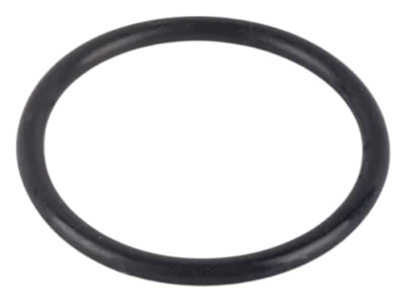 Photoroom 20260220 161814